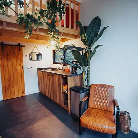 Tiny Dream House
